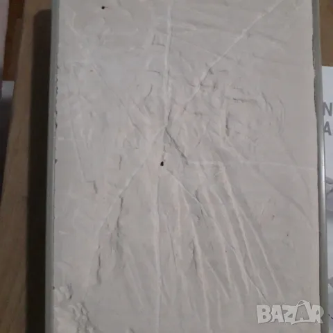 Детска игра - откриване на динозавър , снимка 6 - Други - 49454254