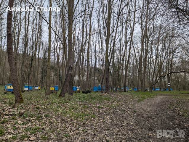 Продава се напълно оборудван пчелин