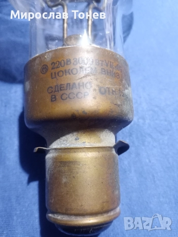 продавам крушки , снимка 4 - Крушки - 52135822