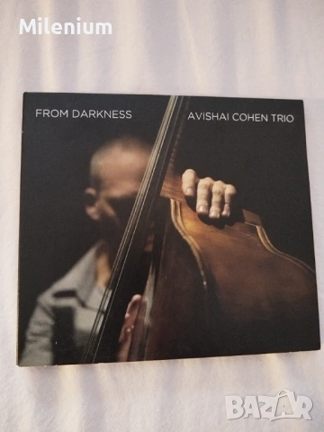 AVISHAI COHEN TRIO - FROM DARKNESS