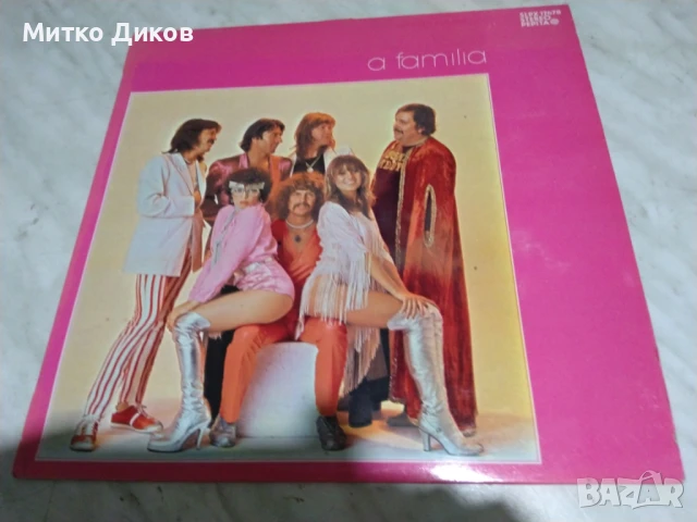 Неотон Фамилия голяма плоча 2 броя 