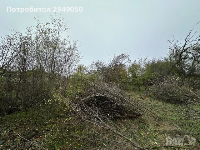 Почистване на дворове и всякакъв вид парцели, снимка 14 - Други услуги - 54068795