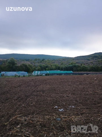 Продава 5.000 дка. Осеново, снимка 3 - Парцели - 46286267