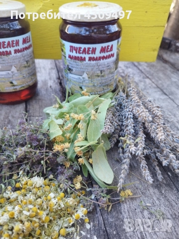Пчелен мед "Столетник", снимка 6 - Пчелни продукти - 51820420