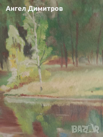 Маслена картина , снимка 7 - Картини - 51177000