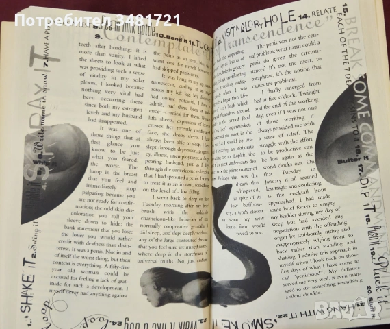 Dick for a Day. What Would You Do If You Had One, снимка 6 - Художествена литература - 53882423