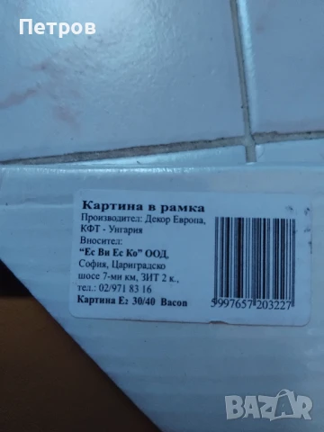 Натюрморт - Унгария, снимка 2 - Картини - 51389368