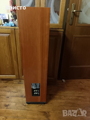 Тонколони Hi-End Usher V-602, снимка 2 - Тонколони - 52171299