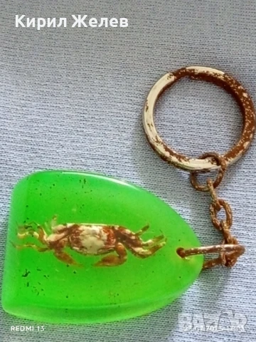 Ключодържател хербарий Рак много красив интересен модел 31428, снимка 3 - Други - 51119389