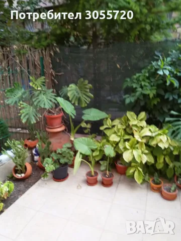 Апартамент и студио за летен отдих - Поморие, снимка 7 - Почивки на море - 32712873