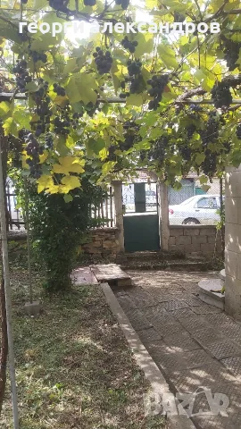 Гр. Попово, кв.Сеячи, снимка 16 - Къщи - 53914002