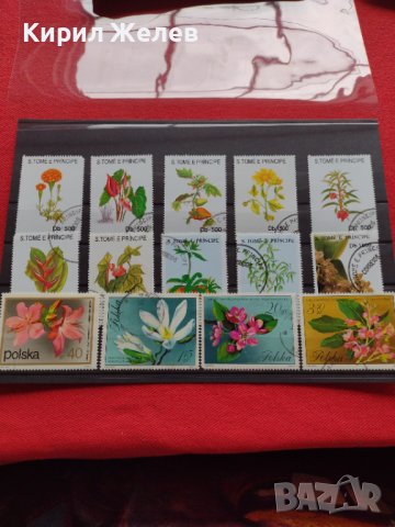 Пощенски марки чиста комплектна серия Растения, Цветя стари редки за колекция декорация - 22048, снимка 8 - Филателия - 36642246