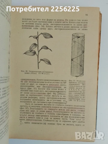 Земеделска ботаника 1947г, снимка 7 - Специализирана литература - 51165729