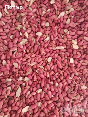 български фъстъци дребни и полувинки