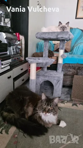 Котешка катерушка с драскалка на 4 нива,с играчка,несглобена,нова,в неразпечатан кашон.