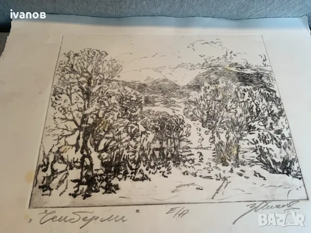 картина от Зафир Йончев ,Чемберли, Е/А, снимка 2 - Картини - 49734812