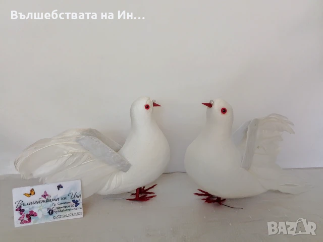 Декоративен гълъб 