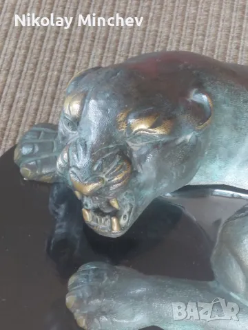 Холна маса пантера