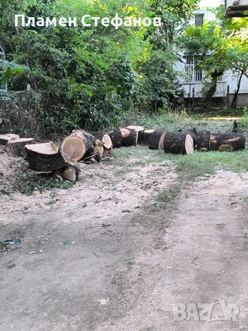 Дъб дърва за огрев 6 куб. плътно, снимка 6 - Дърва за огрев - 56248106