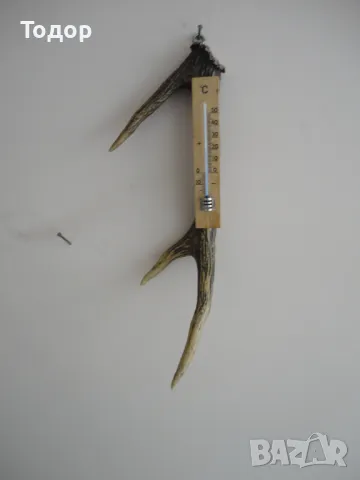 Ловен термометър еленов рог , снимка 5 - Антикварни и старинни предмети - 50287698