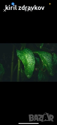 Продавам Canon Eos 350d, снимка 8 - Фотоапарати - 53027039