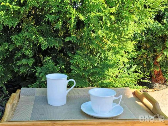 Комплект бели чаши за кафе/чай от костен порцелан, снимка 3 - Други стоки за дома - 24794354