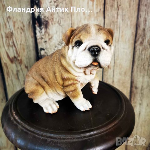 Пластика "Английски булдог", снимка 2 - Статуетки - 37094255