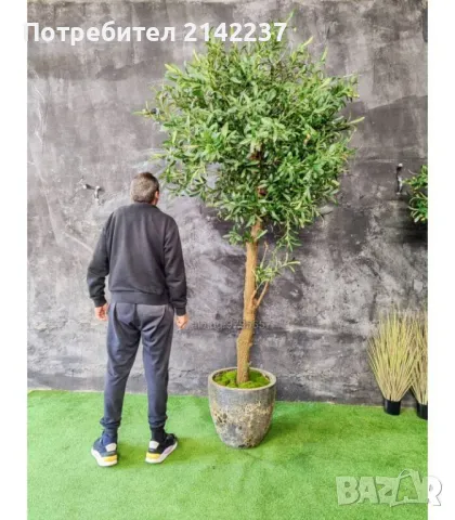 Изкуствено маслиново дръвче, снимка 10 - Изкуствени цветя - 47379367