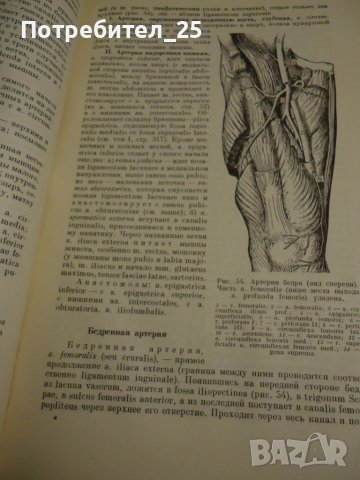 Учебник анатомии человека -том2, снимка 6 - Специализирана литература - 40285888