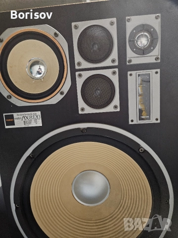 Тонколони Tamon AX-8120 15 инча бас, снимка 3 - Тонколони - 52827611