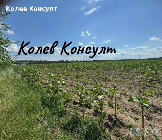 Продавам парцел УПИ в Димитровград,квартал Каменец , снимка 4 - Парцели - 50451427