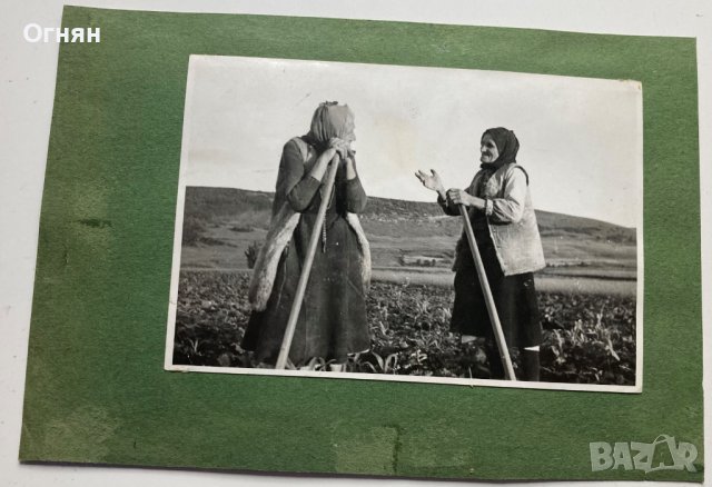 Снимки Георги Димитров, снимка 2 - Антикварни и старинни предмети - 39472786