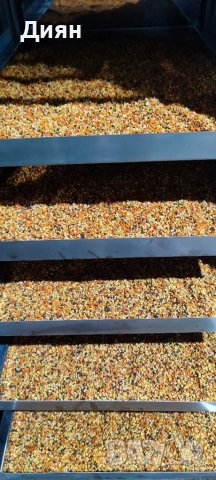 Пчелен цветен прашец 2025, снимка 7 - Пчелни продукти - 37952076