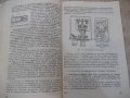Книга"У-во и техн.експлоат. на тролейбуса-Н.Тодорова"-184стр, снимка 3