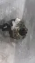Помпа За Високо Налягане (ГНП) За Hyundai H1 2004 - 0 4450 010 101 , 33100-4A010, снимка 1