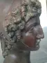 Canova Paris 70см-15кг/голяма бронзова фигура-бюст на Парис/модел Антонио Канова, снимка 9