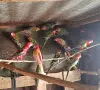 Розели и пенанти , снимка 3