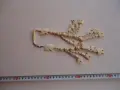 Страхотно колие от кост , снимка 1