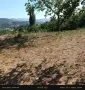 Парцел в вилната зона на Прилепци, снимка 6