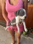 Две момичета с две ваксини и паспорт!, снимка 3