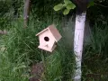 къщички за птици, снимка 8