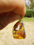 Уникална висулка от Мексикански кехлибар с отлично съхранени фосили., снимка 5