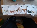 Колекционерски карти за игра, с кучета, снимка 4