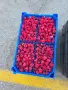 продавам малини, снимка 3