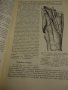 Учебник анатомии человека -том2, снимка 6