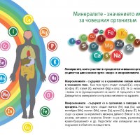 Предлагам продукти на GreenMaster, снимка 9 - Други - 33997369