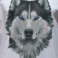 Нова мъжка бяла тениска с дигитален печат Хъски със сини очи, снимка 2 - Тениски - 29888424