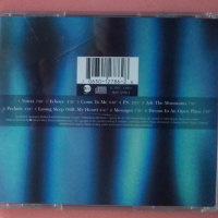 Vangelis – Voices (1995, CD), снимка 2 - CD дискове - 44683672
