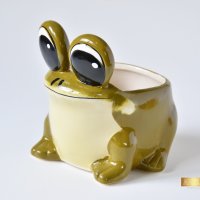 Керамична саксия - жаба / Подарък за нов дом / Керамична саксия с форма на жаба, снимка 9 - Декорация за дома - 40513271