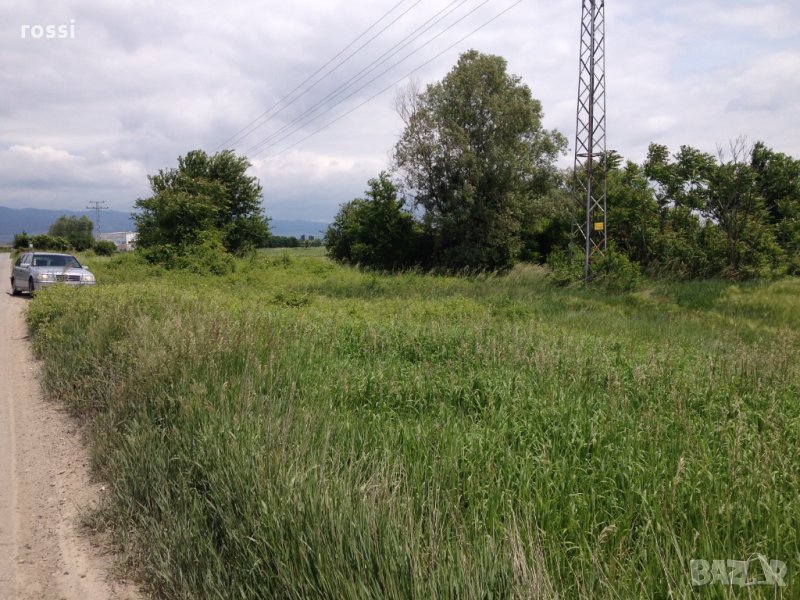 4330 кв.м. ПИ в Чепинци, ул. Чепинско шосе, Столична община, снимка 1